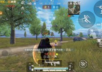 和平精英直装【九色鹿】辅助透视自瞄