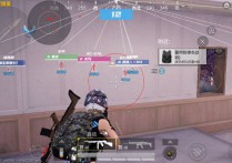和平精英容器直装【逆境】辅助