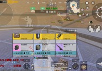 PUBG国际服直装【夏目】辅助透视自瞄