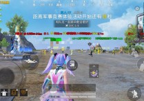 iOS苹果和平精英免越狱【天使绘制无后】辅助透视自瞄