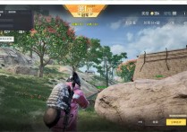 PC和平精英高清【AEO升级版本PRO】辅助透视自瞄