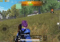 和平精英直装【IQOO】辅助透视自瞄