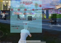 和平精英直装【小笼包】辅助