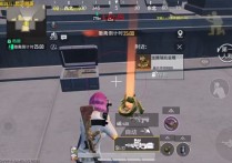和平精英内核【路易斯】辅助透视自瞄