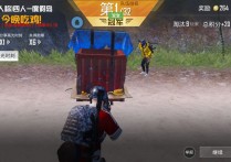 和平精英容器直装【吴春红】辅助透视自瞄